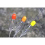 Drennan Crystal Dibber Rigs