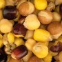 Nash Large seed mix 500ml