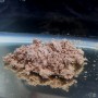 RG Baits Arctic Crab Aqua Soluable Bait 1KG