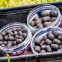 Mainline Big River Barbel Dumbell Hookers
