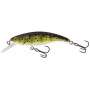 SALMO TROUT PACK