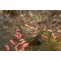 Korum Camo Window Feeder 60g