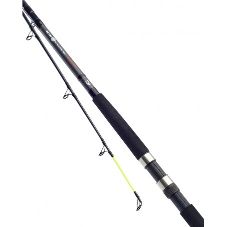 Daiwa D Wave Boat Rod 20-30