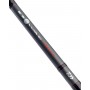 Daiwa D Wave Boat Rod 20-30