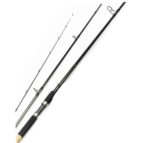 Daiwa Cast'izm Feeder Rod