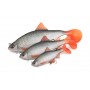 Fox Rage Ultra Naturals Replicant Roach Lure
