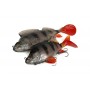 Fox Rage Ultra Natural Replicant Perch 23cm 205g