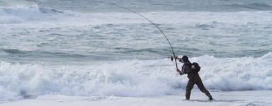 Sea & Sport Fishing