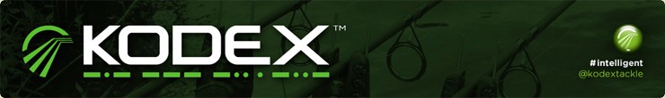 Kodex